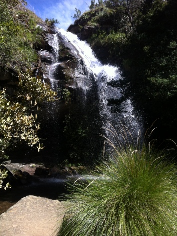 Doreen Falls