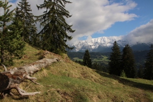 Karwendel in the distance