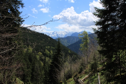 Wetterstein mountain range in the background